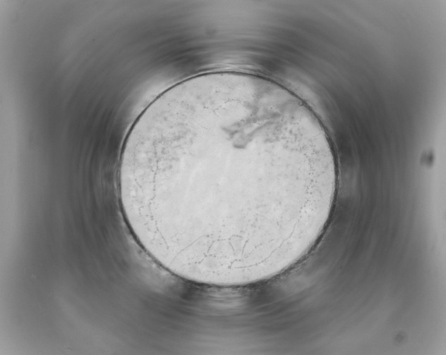 X0000091591338200709051114