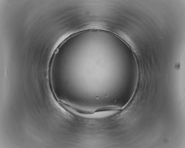 X0000091591339200709051114