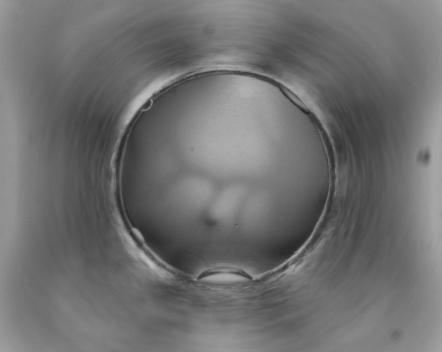 X0000091591341200709051114
