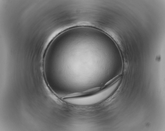X0000091591342200709051114