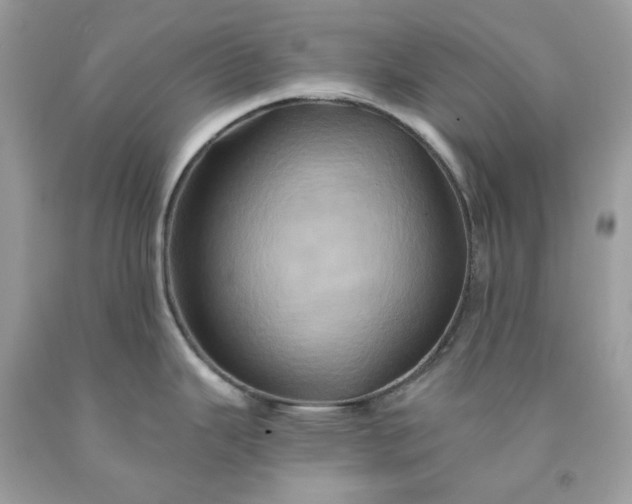 X0000091591343200709051114
