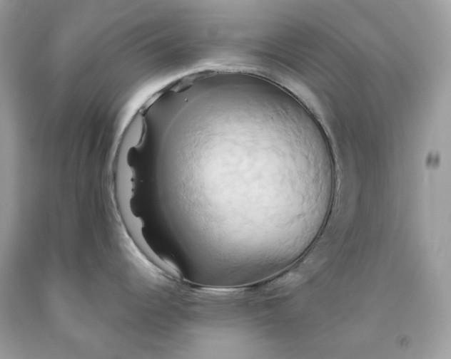 X0000091591344200709051114