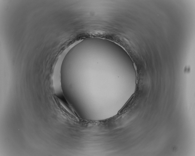X0000091591345200709051113