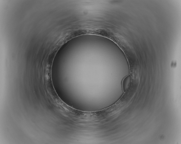 X0000091591346200709051113