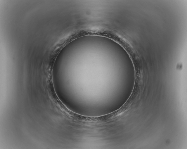 X0000091591349200709051113