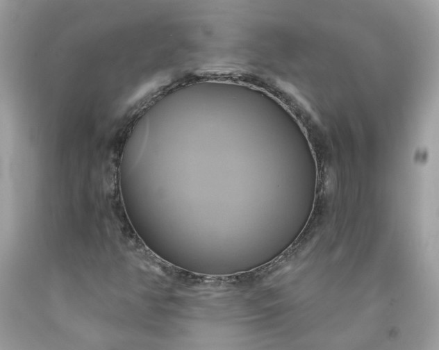 X0000091591350200709051113