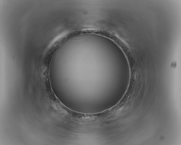 X0000091591351200709051113