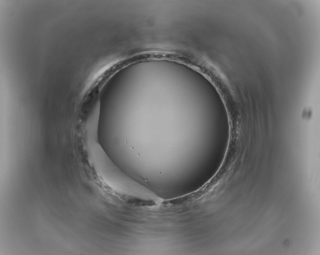 X0000091591352200709051113