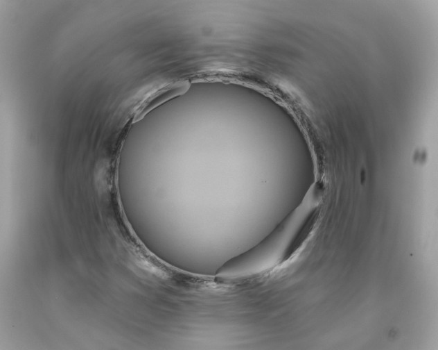 X0000091591353200709051113