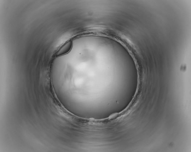 X0000091591354200709051113
