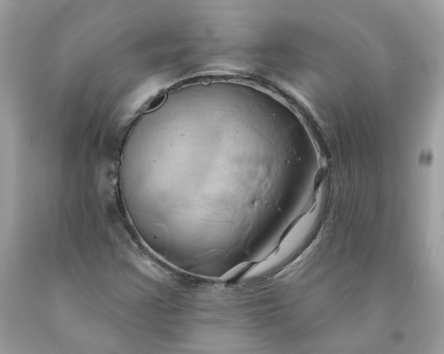 X0000091591355200709051113
