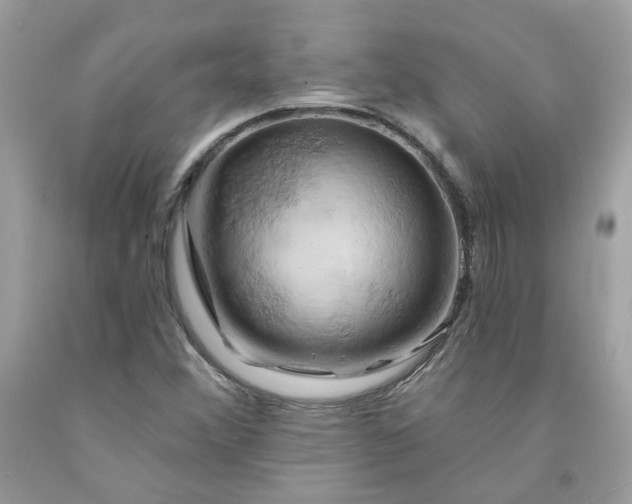 X0000091591356200709051113
