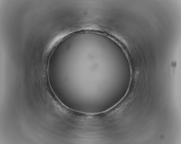 X0000091591359200709051113