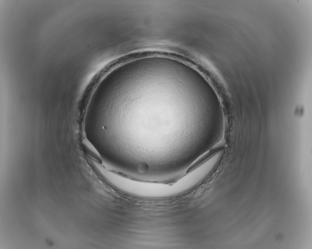X0000091591360200709051113