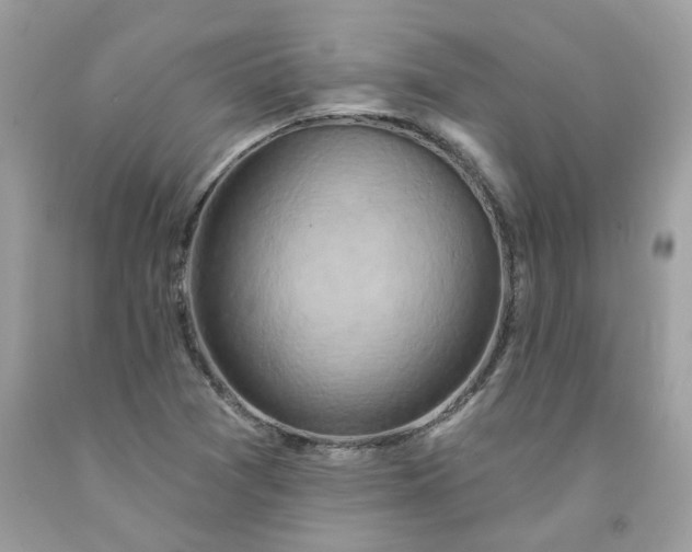 X0000091591361200709051113