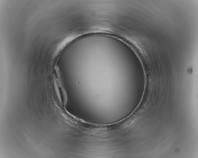 X0000091591363200709051113