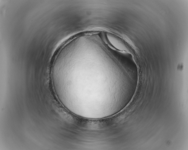 X0000091591364200709051113