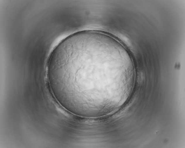 X0000091591366200709051113