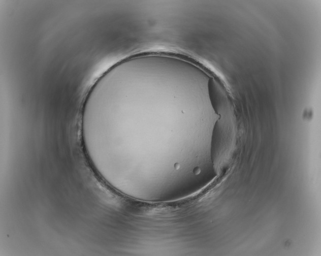 X0000091591367200709051113