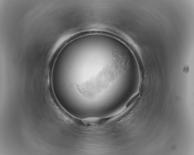 X0000091591368200709051113