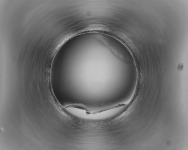 X0000091591369200709051113