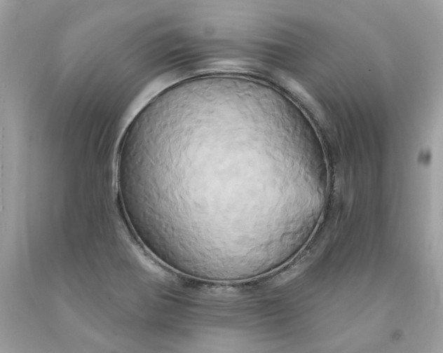 X0000091591370200709051113