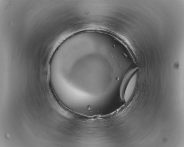 X0000091591371200709051113