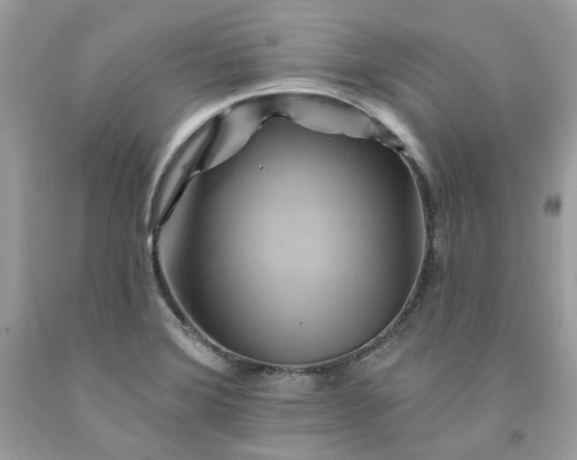 X0000091591372200709051113