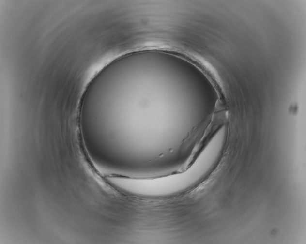 X0000091591373200709051113