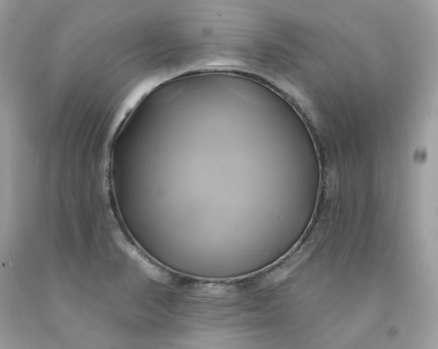 X0000091591374200709051113