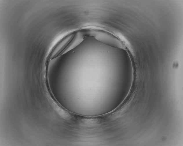 X0000091591376200709051113