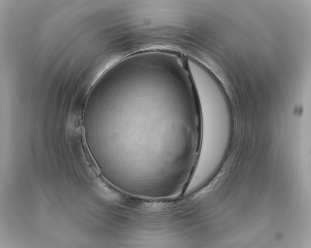 X0000091591377200709051113