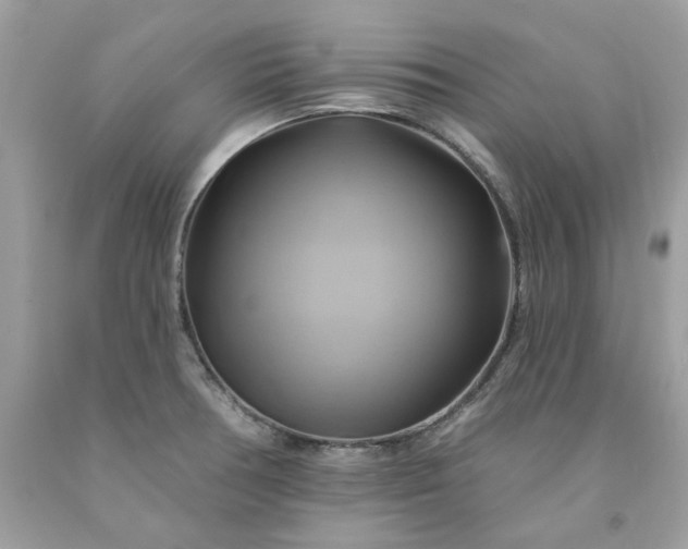 X0000091591378200709051113