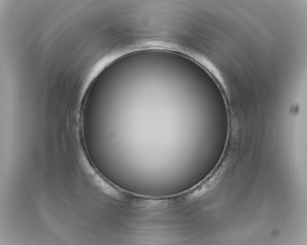 X0000091591381200709051113