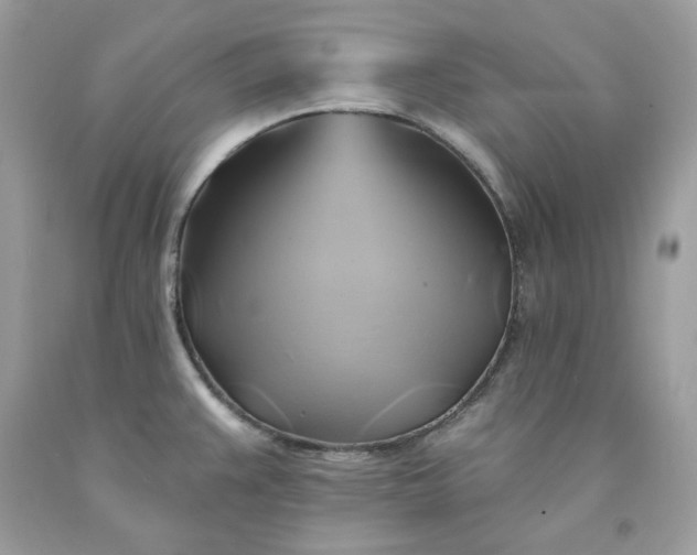 X0000091591383200709051112