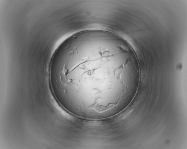 X0000091591387200709051112