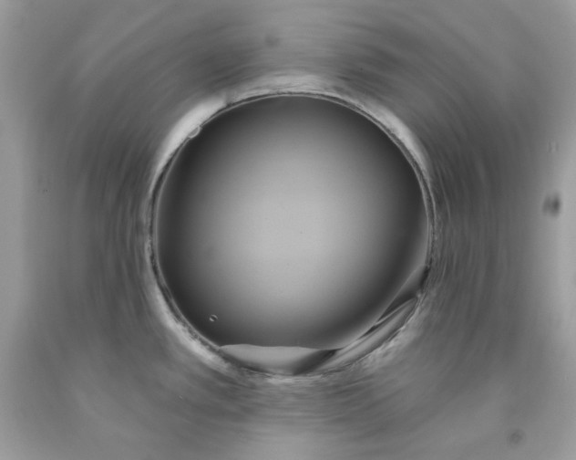 X0000091591389200709051112