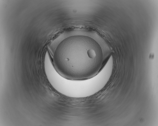 X0000091591394200709051112