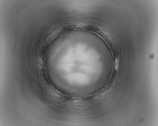 X0000091591395200709051112