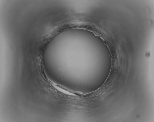 X0000091591397200709051112