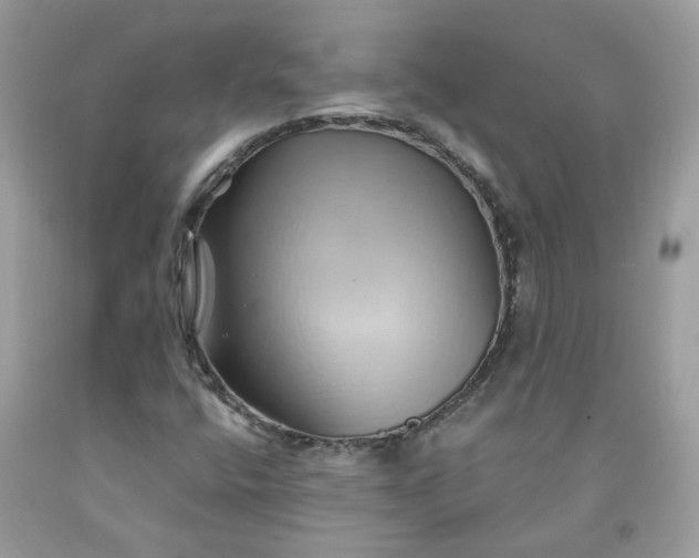 X0000091591400200709051112