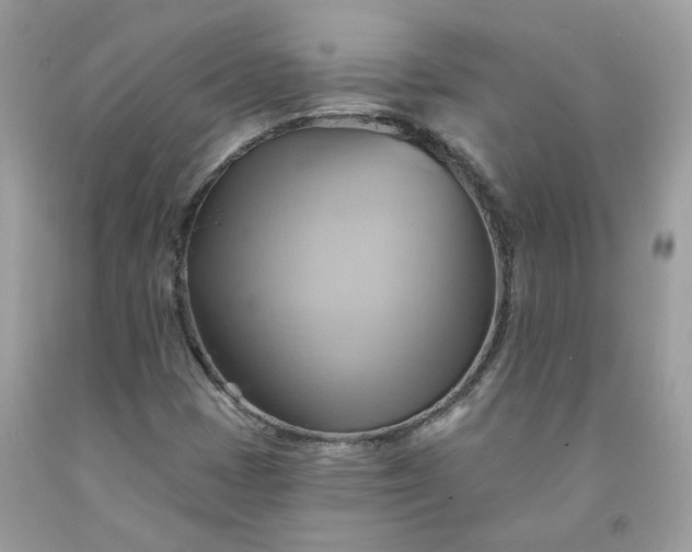 X0000091591401200709051112