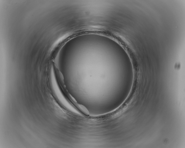 X0000091591402200709051112