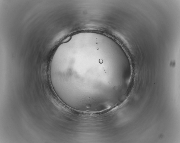X0000091591403200709051112
