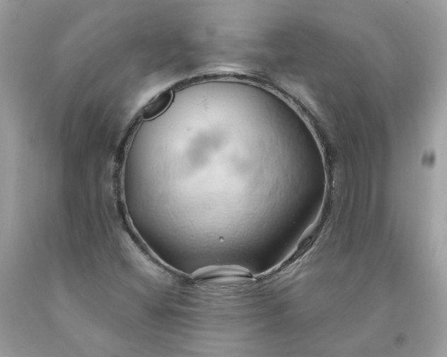 X0000091591404200709051112