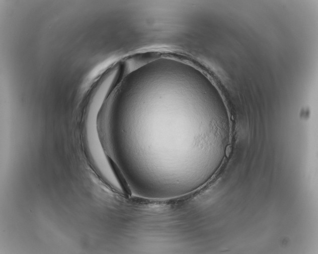 X0000091591406200709051112