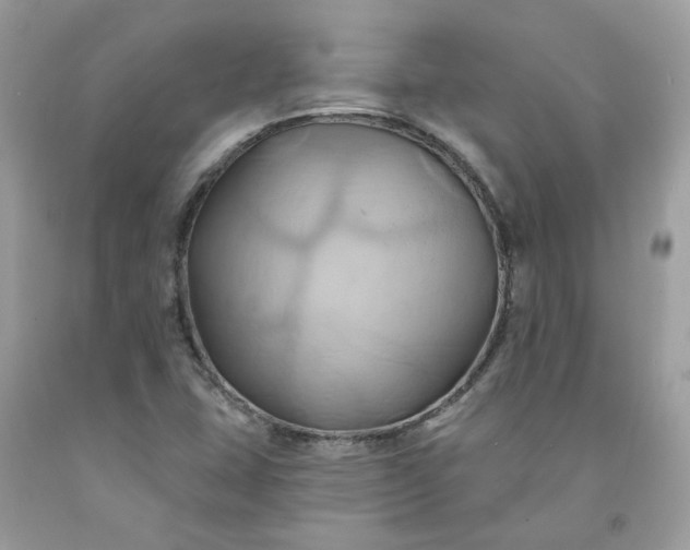 X0000091591407200709051112