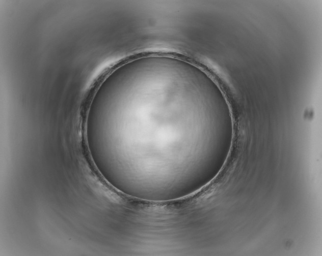 X0000091591408200709051112