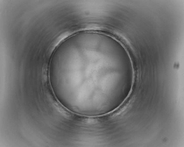 X0000091591409200709051112
