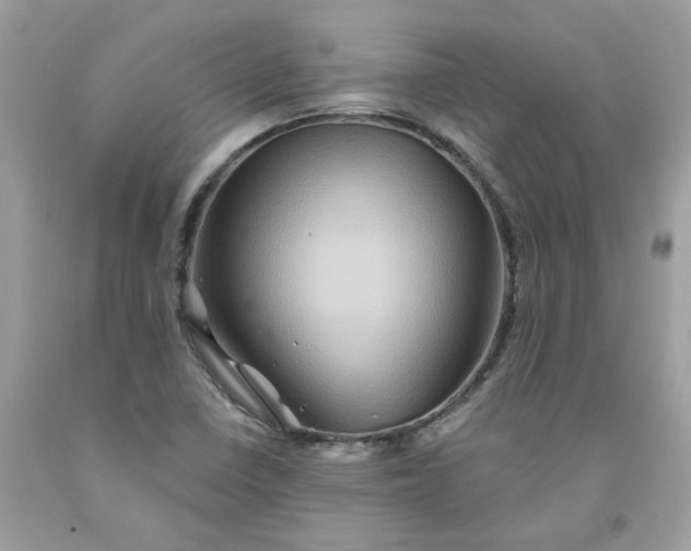 X0000091591410200709051112